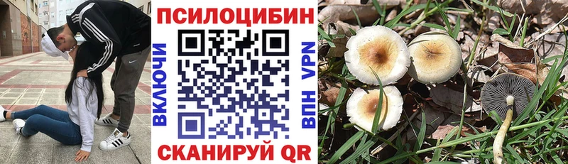 Купить  Ардатов  Псилоцибиновые грибы мухоморы 